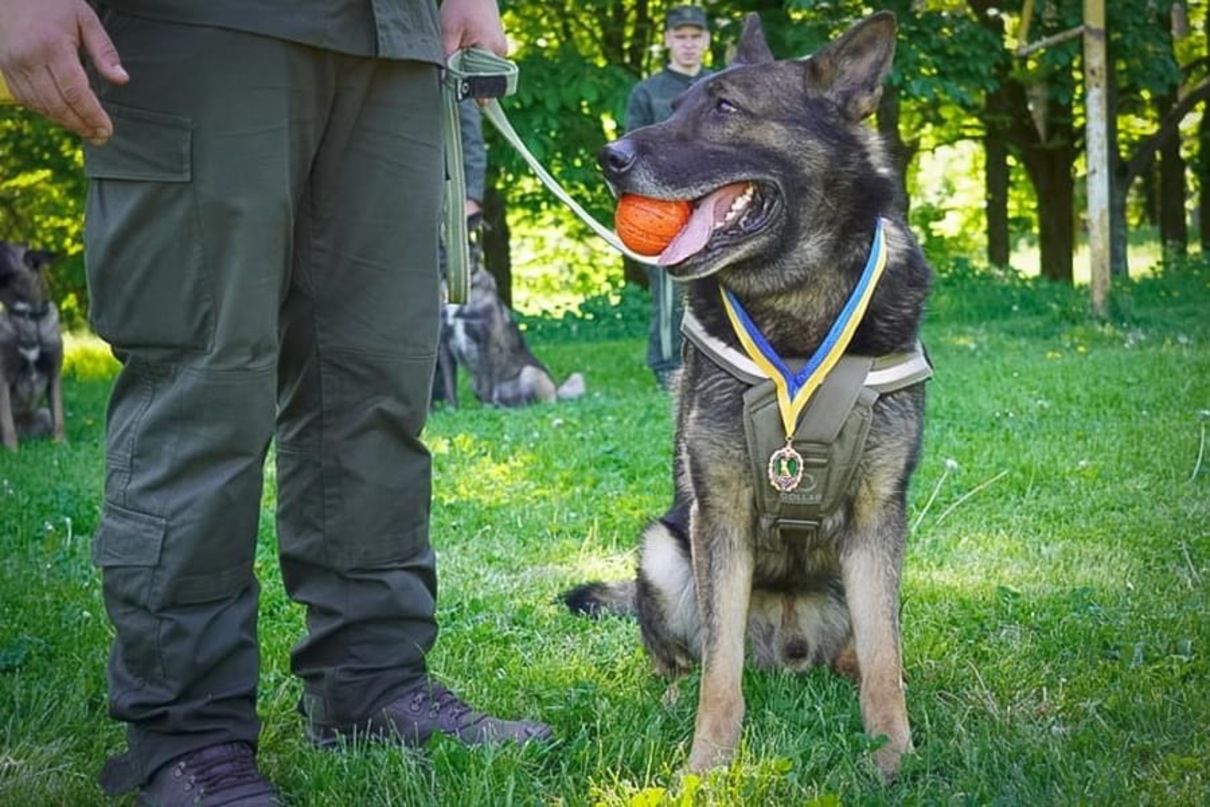 Нагороди за службу - фото 1