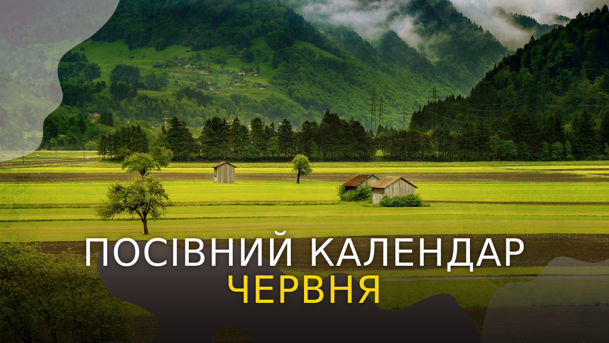 Місячний посівний календар на червень 2023 – коли і що садити