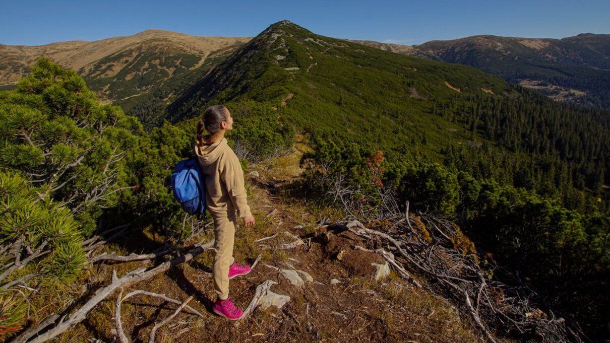 Ілюстративне фото - фото 1