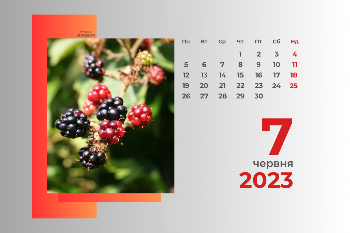 7 червня – середа - фото 1