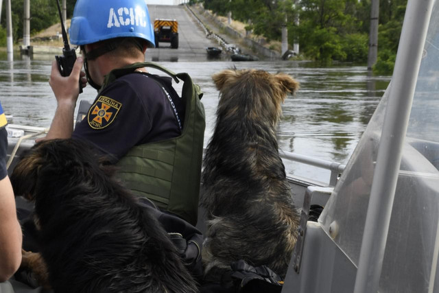 Евакуація з води: розробники створили чат-бот для постраждалих після підриву ГЕС - фото 526249