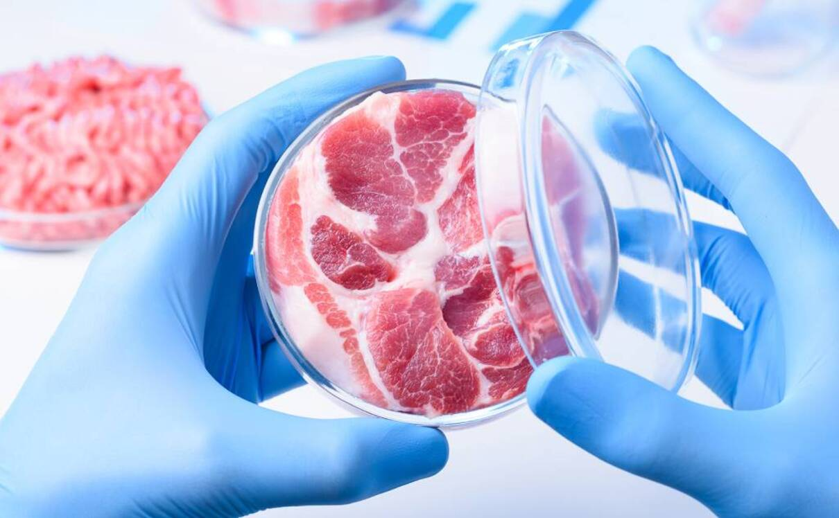 У США вперше дозволили продавати м’ясо, вирощене у лабораторії