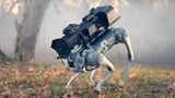 Ілону Маску на радість: Throwflame представила робота-собаку, оснащеного вогнеметом