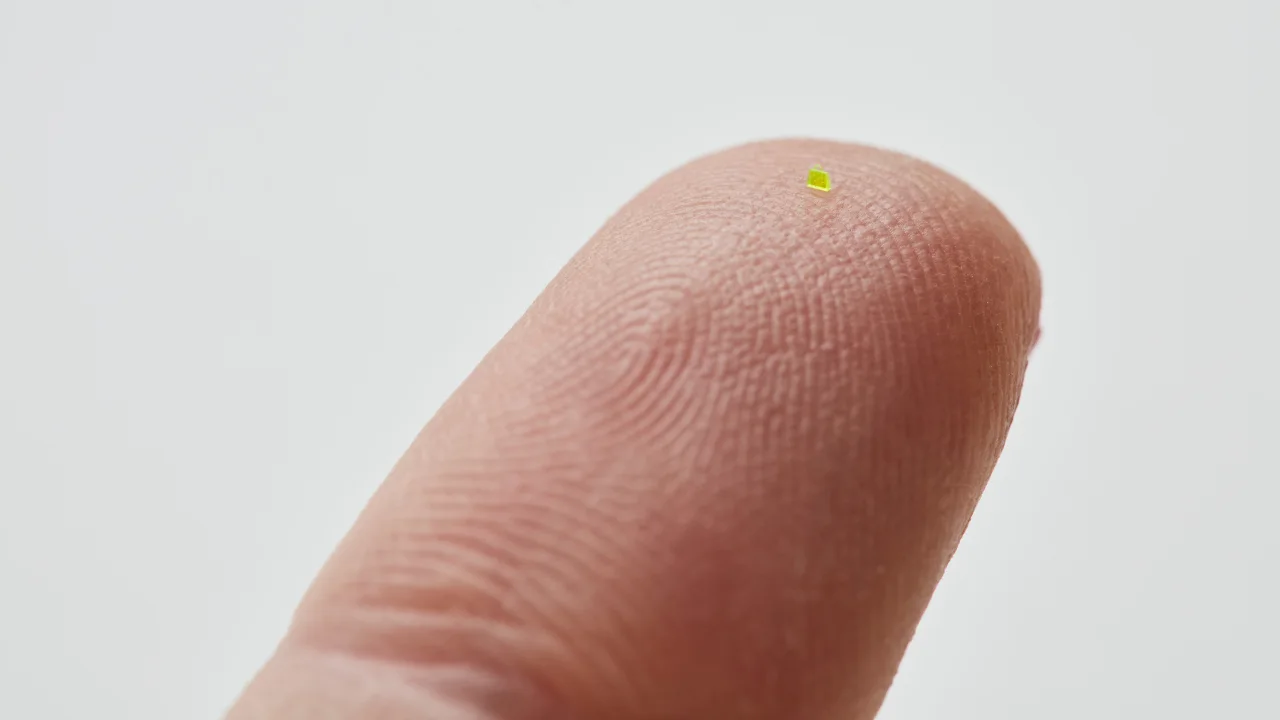 Як крупинка солі: мікроскопічну сумку Louis Vuitton продали на аукціоні за понад $60 тисяч