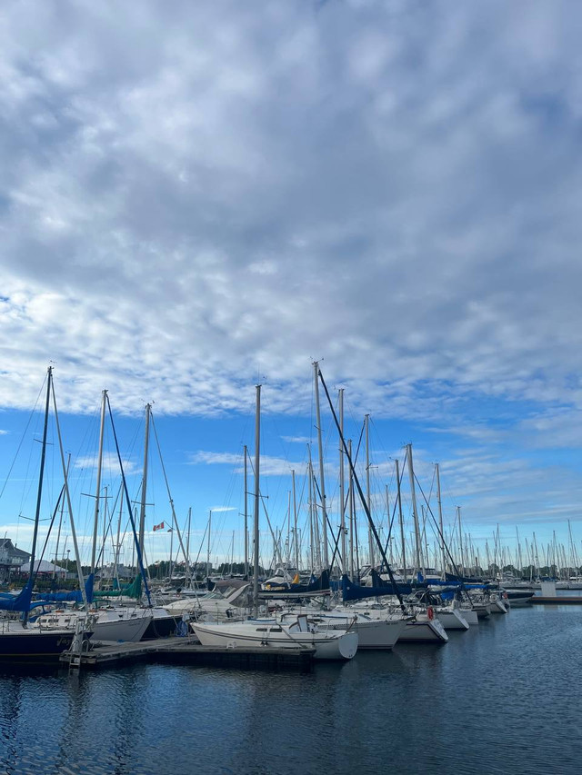 Очікування та реальність: розповідаємо про еміграцію до Канади - фото 527363