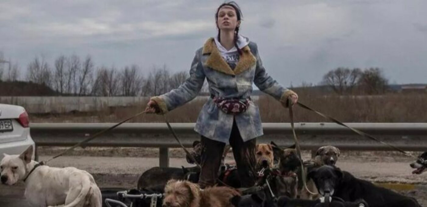 У Києві створюють мурал, присвячений зоозахисниці з Ірпеня – фото