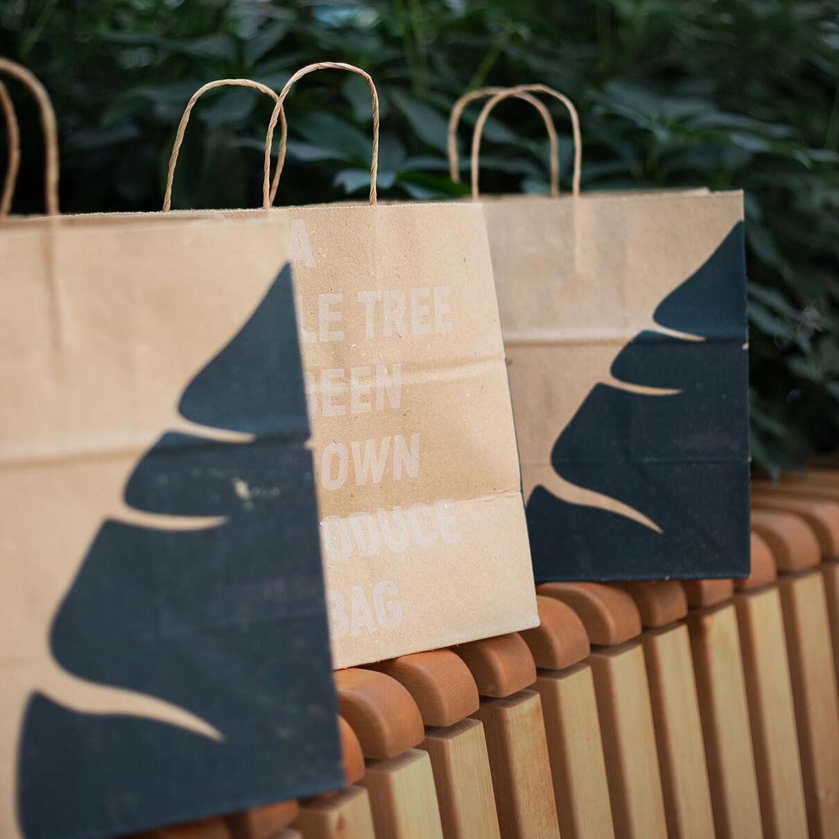 Український екостартап Releaf Paper запускає завод у Франції: деталі