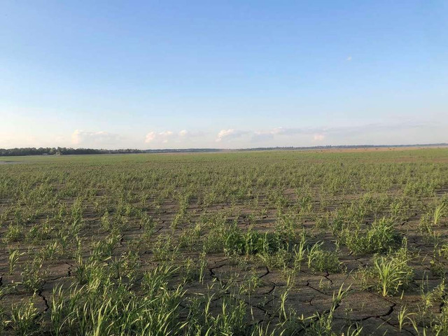 Город на дні Каховського водосховища - фото 528657