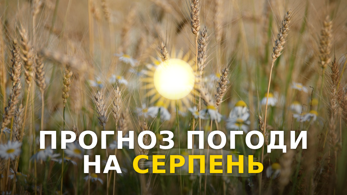 Погода у серпні 2023 в Україні – прогноз синоптиків на місяць