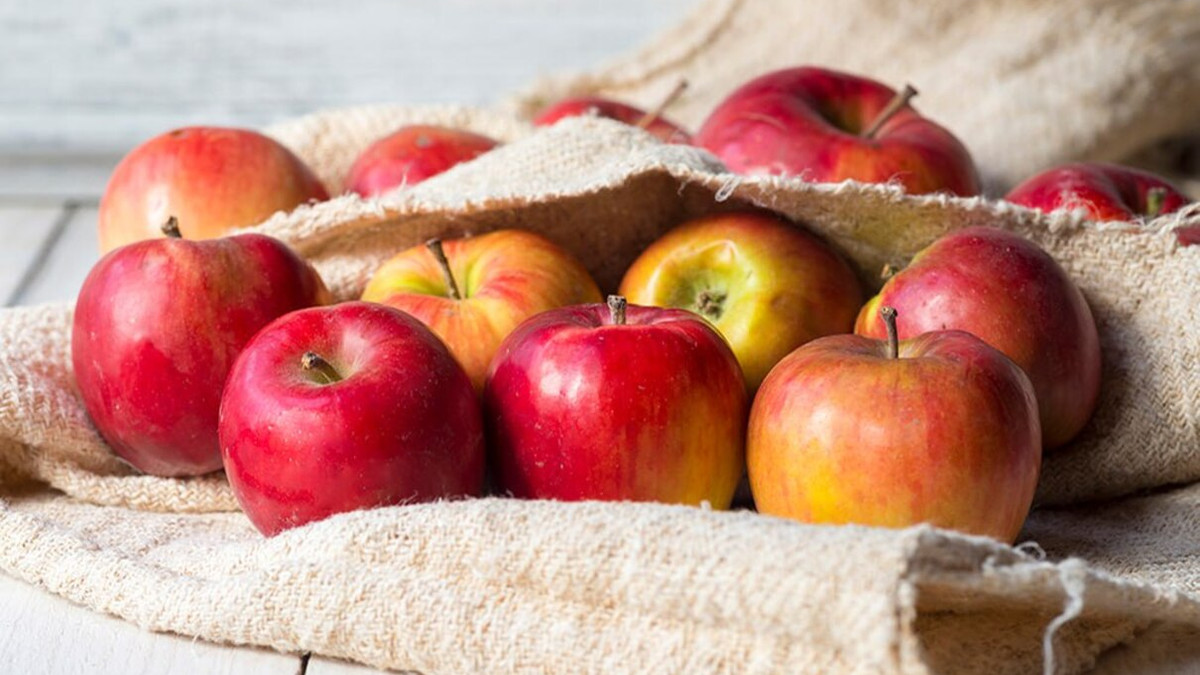 Як правильно зберігати яблука - фото 1