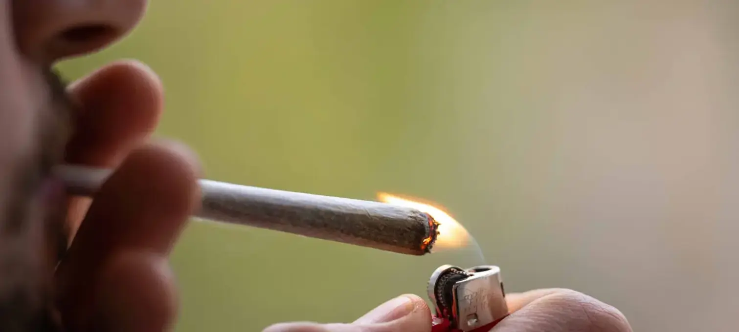 Уряд Німеччини схвалив легалізацію канабісу: деталі законопроєкту