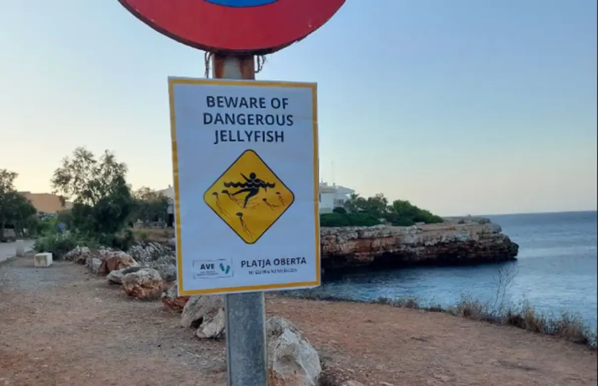 Тримайтеся подалі: іспанці придумали спосіб, як відлякувати туристів з пляжів Майорки