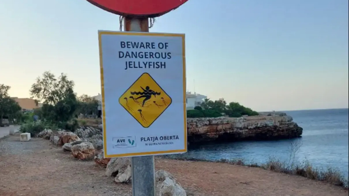 Знаки, які попереджають, що нібито "пляж закритий" - фото 1