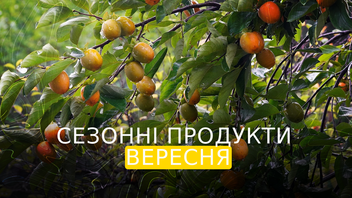 сезонні овочі та фрукти у вересні - фото 1