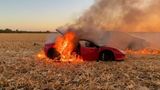 Все заради хайпу: блогер-мільйонник спалив суперкар Ferrari за $400 000 (Відео)