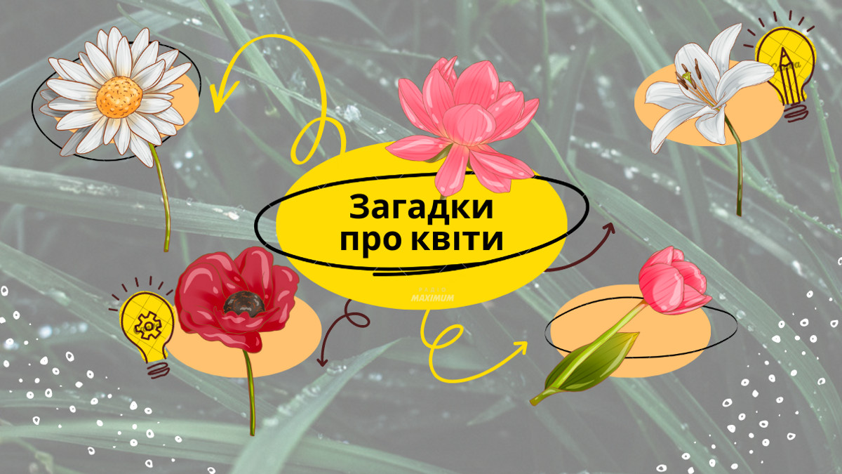 Загадки про різноманітні квіти для дітей та дорослих українською мовою - фото 1