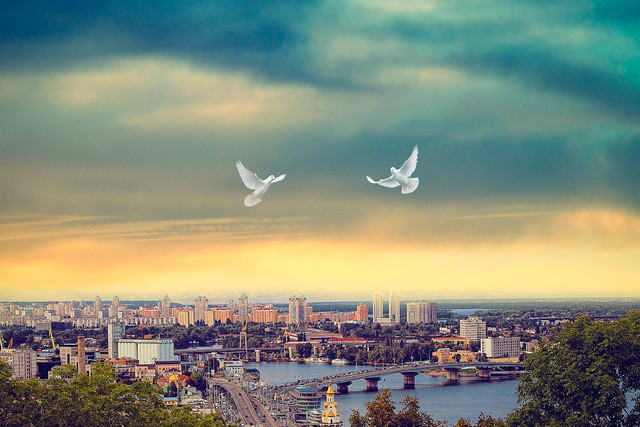 Прислів'я про мову – приказки, народні прикмети та фразеологізми українською - фото 529950