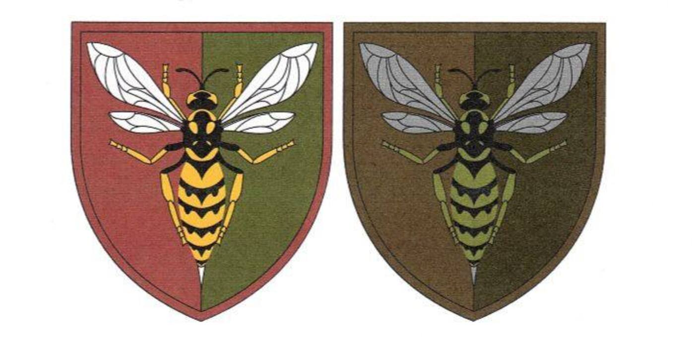 Нові нарукавні знаки - фото 1