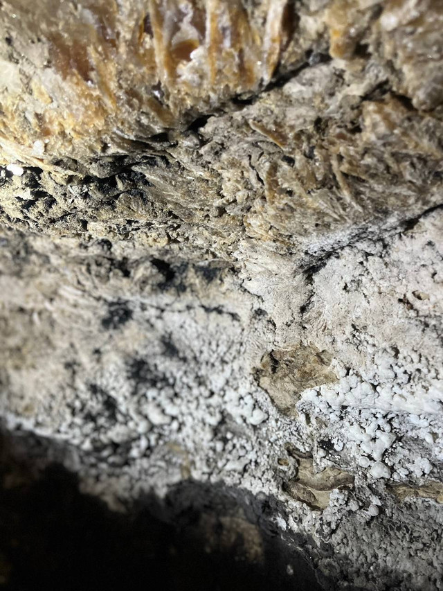 Печера 'Вертеба' - фото 530167