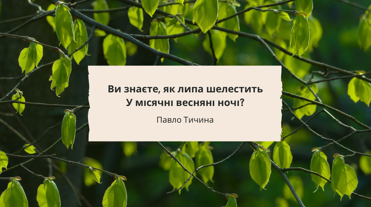 Ви знаєте як липа шелестить – Павло Тичина: текст, аналіз та історія вірша