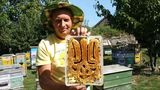 Зробили соти-тризуб: патріотичні бджоли українського пасічника