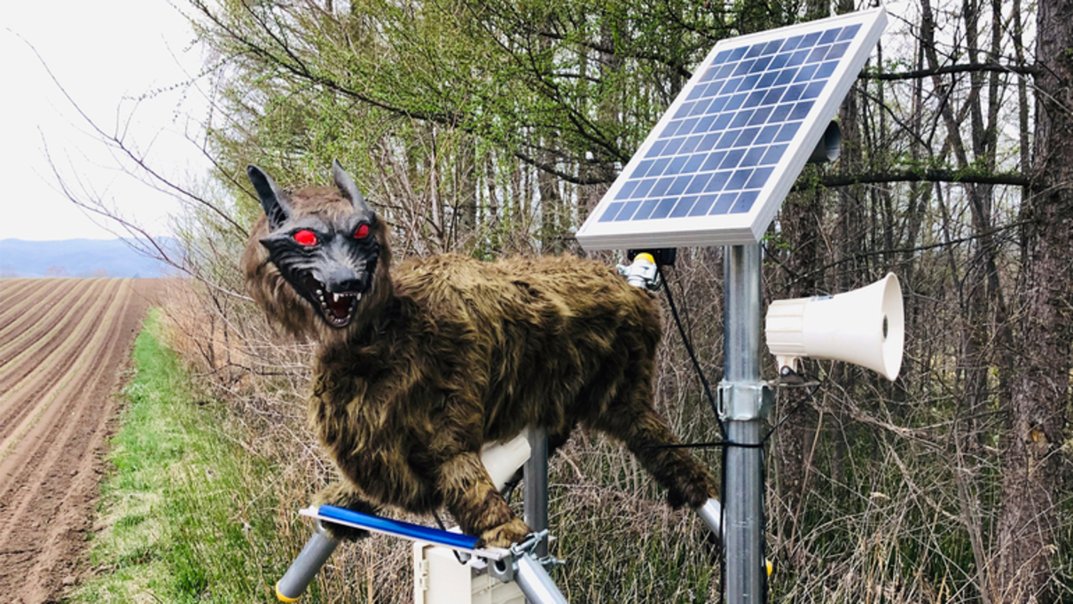 Вовки-роботи - фото 1