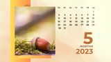5 жовтня 2023 – яке сьогодні свято: традиції, заборони і прикмети