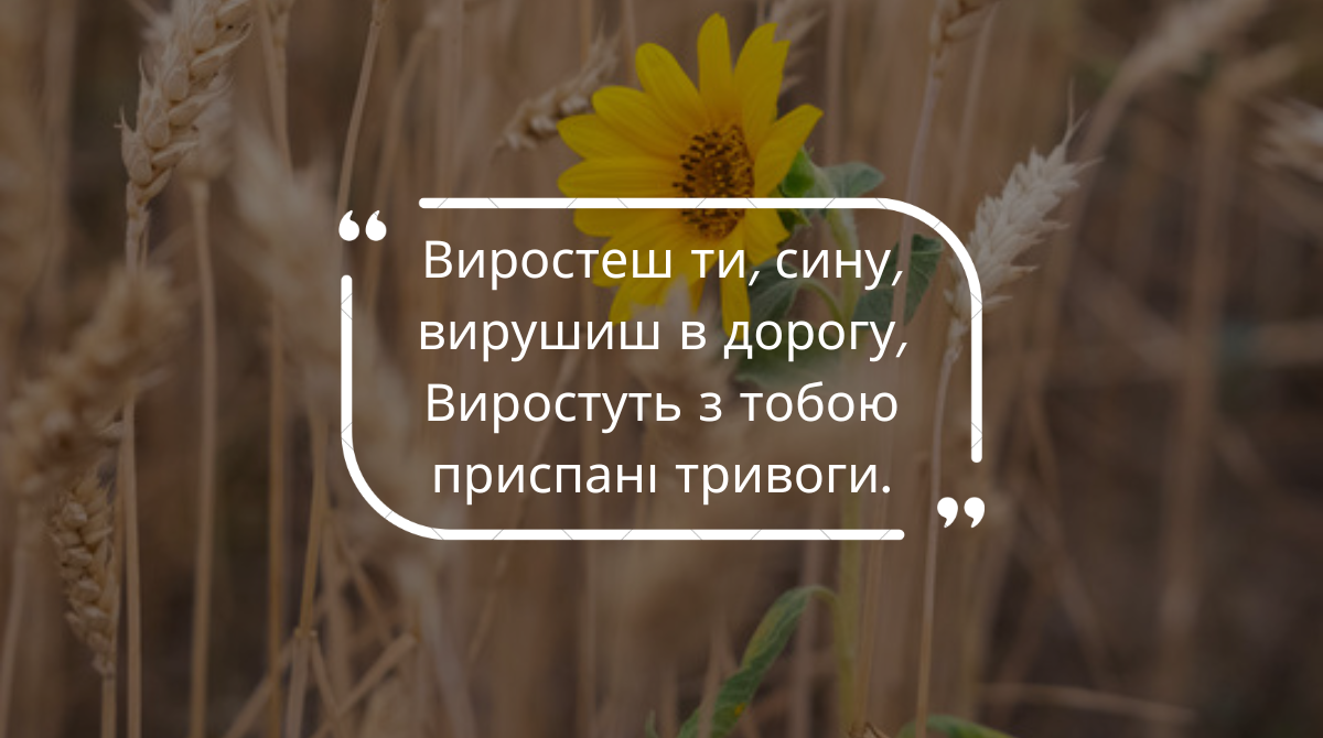 Лебеді материнства – Василь Симоненко: аналіз та літературний паспорт вірша