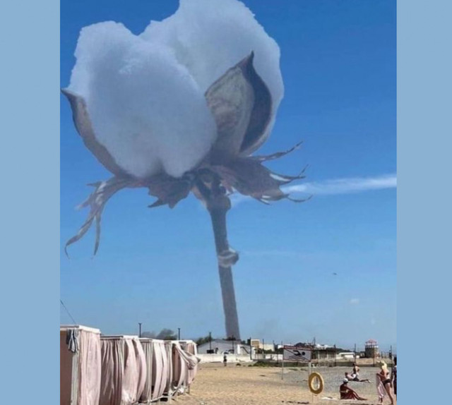 Всесвітній день бавовни, або чому це слово для українців асоціюється з радістю - фото 532181