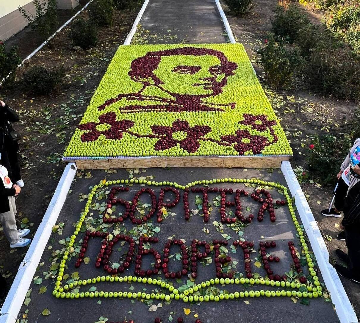 Портрет Шевченка з 7004 яблук: на Одещині школярі встановили рекорд