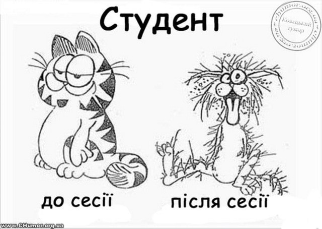 Меми про студентів - фото 533285