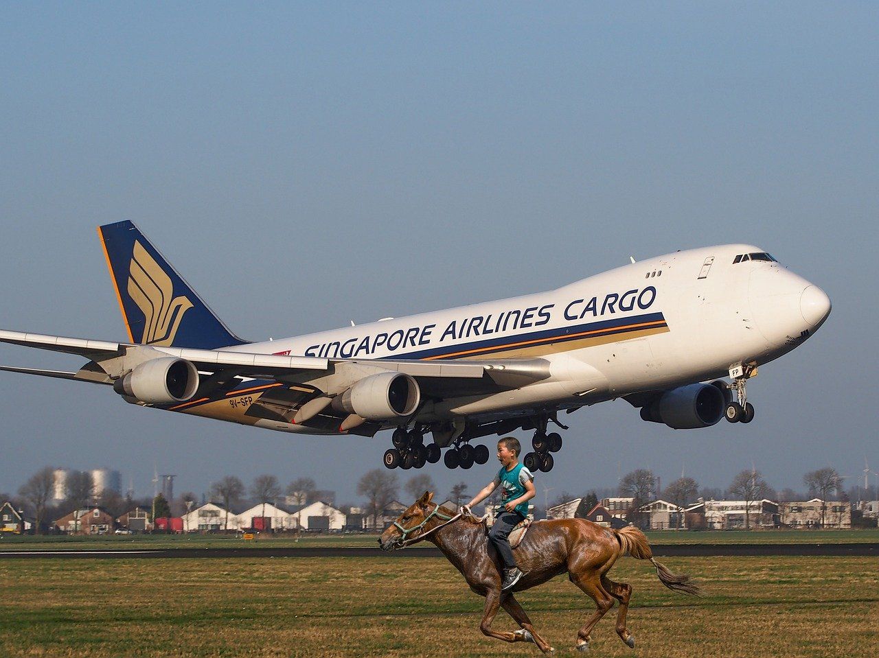 Кінь на борту: вантажному літаку довелося екстрено приземлитися