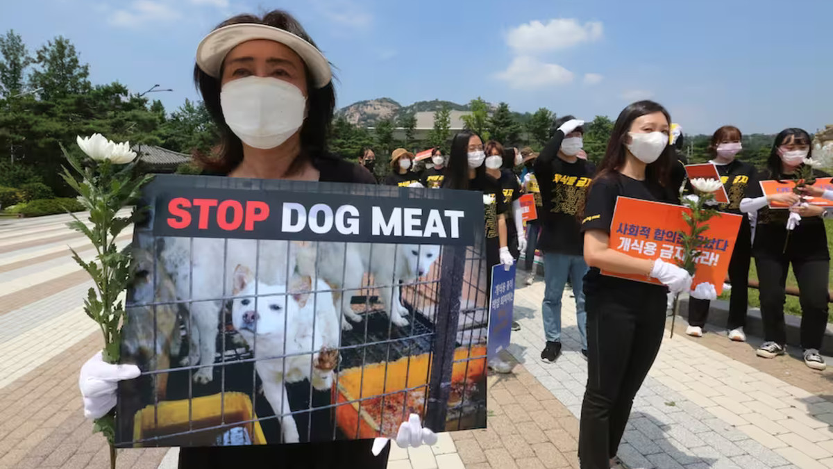 У Південній Кореї хочуть заборонити їсти собак - фото 1