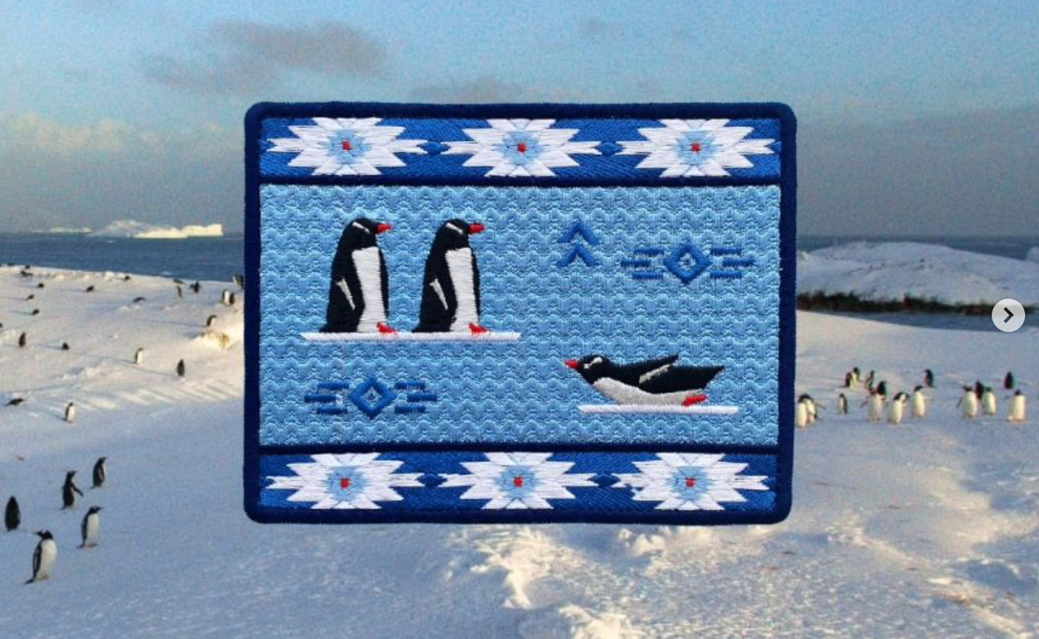 Шеврон з бойовими пінгвінами має благодійну мету - фото 1