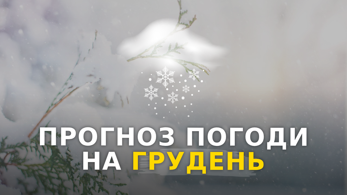 Погода у грудні 2023 в Україні – прогноз синоптиків на місяць