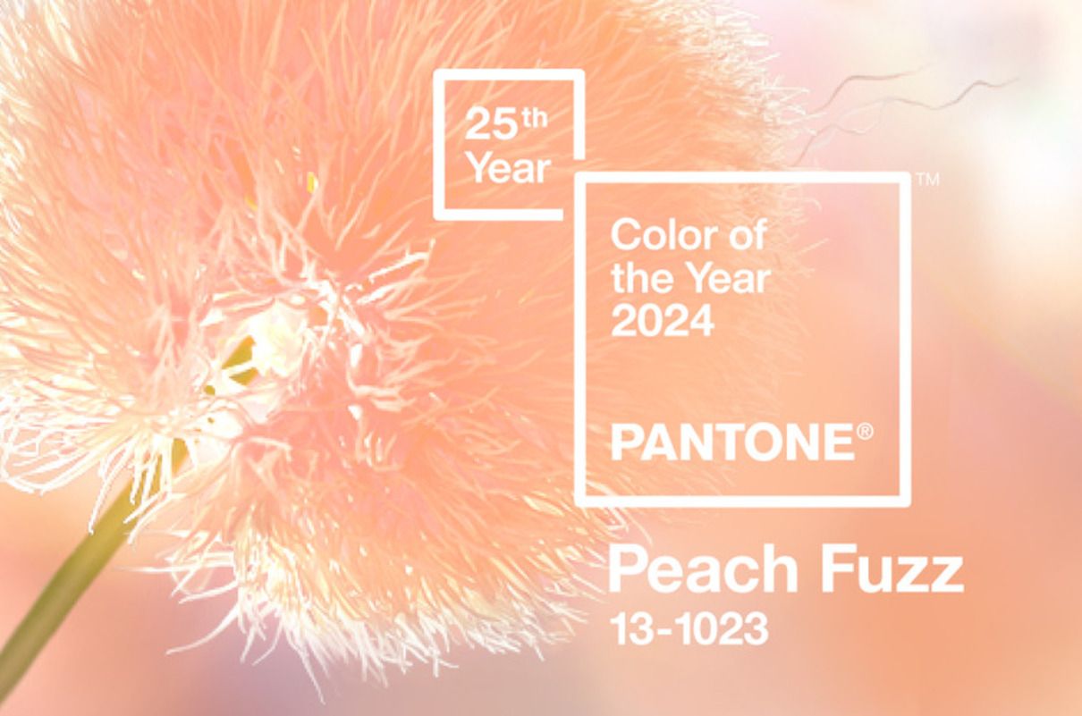 Pantone - фото 1