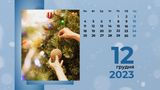 12 грудня 2023 – яке сьогодні свято: традиції, заборони і прикмети