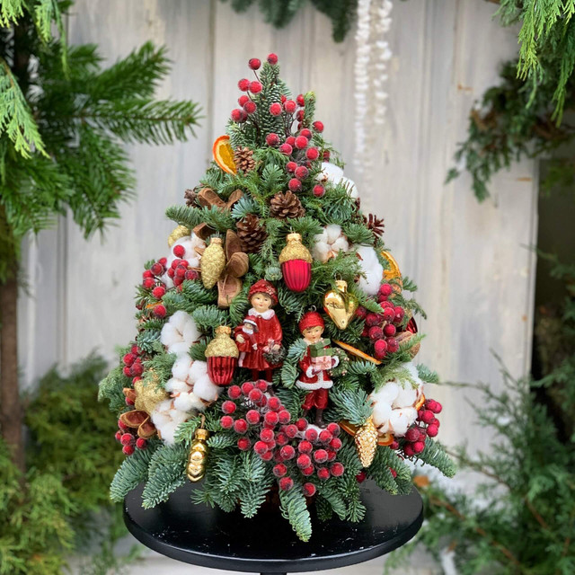 Ялинка з сукулентів - фото 535333