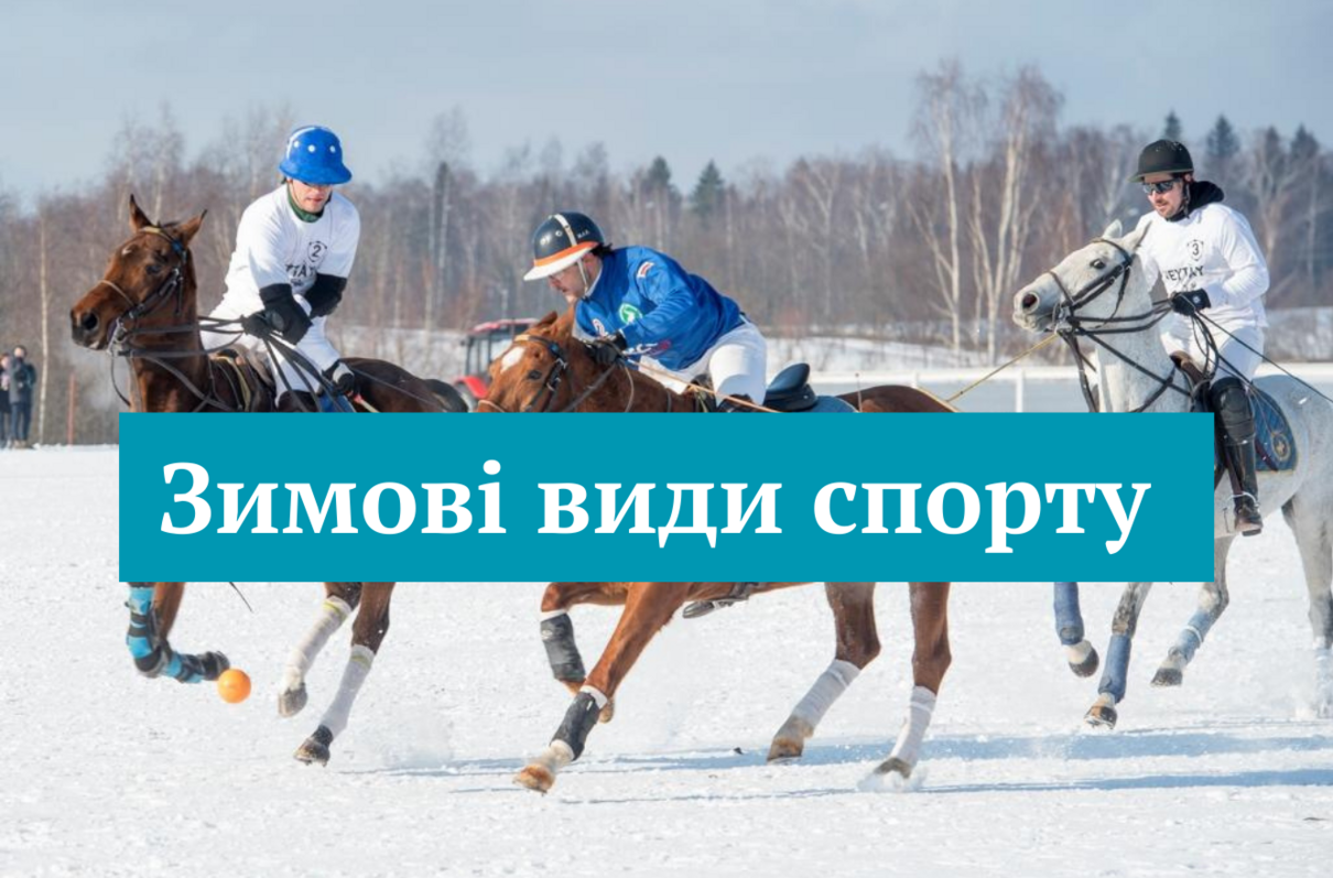 Підбірка зимових видів спорту - фото 1