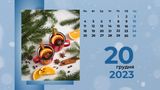 20 грудня 2023 – яке сьогодні свято: традиції, заборони і прикмети