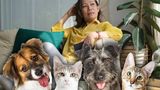Курйоз дня: китаянка заповіла $2,8 млн своїм собакам і котам