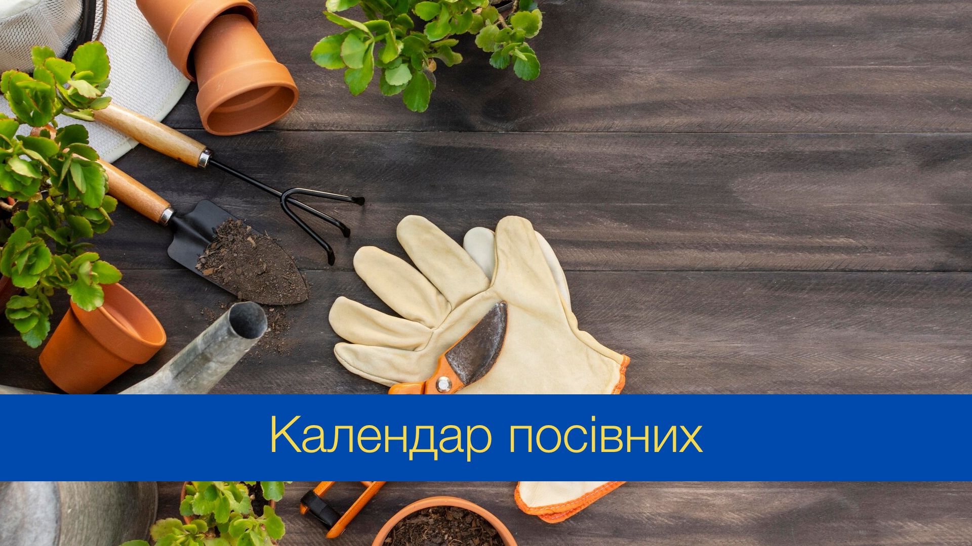 Посівний календар на березень 2024 року - фото 1