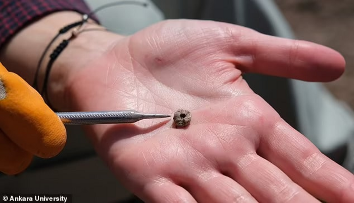 Археологи знайшли найдавніший пірсинг, якому понад 11 тисяч років