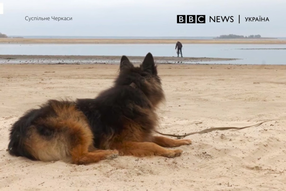 Черкаський "Хатіко" - фото 1