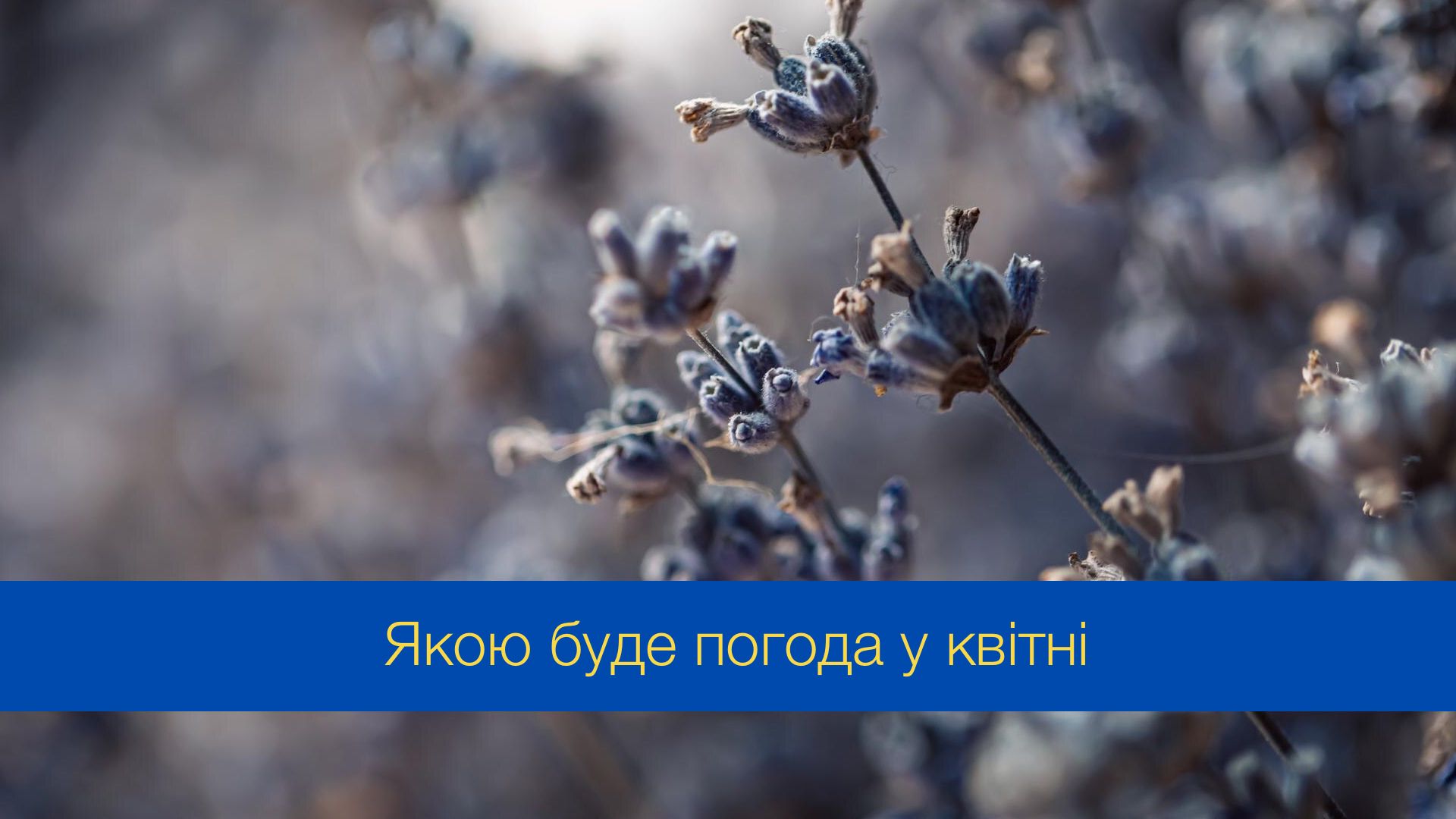 Погода у квітні 2024 в Україні – прогноз синоптиків на місяць
