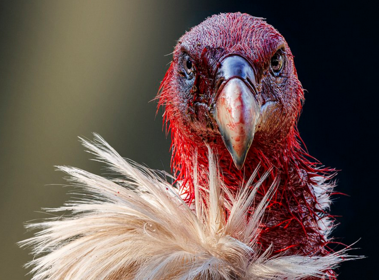 Оголошено переможців конкурсу - фото 1