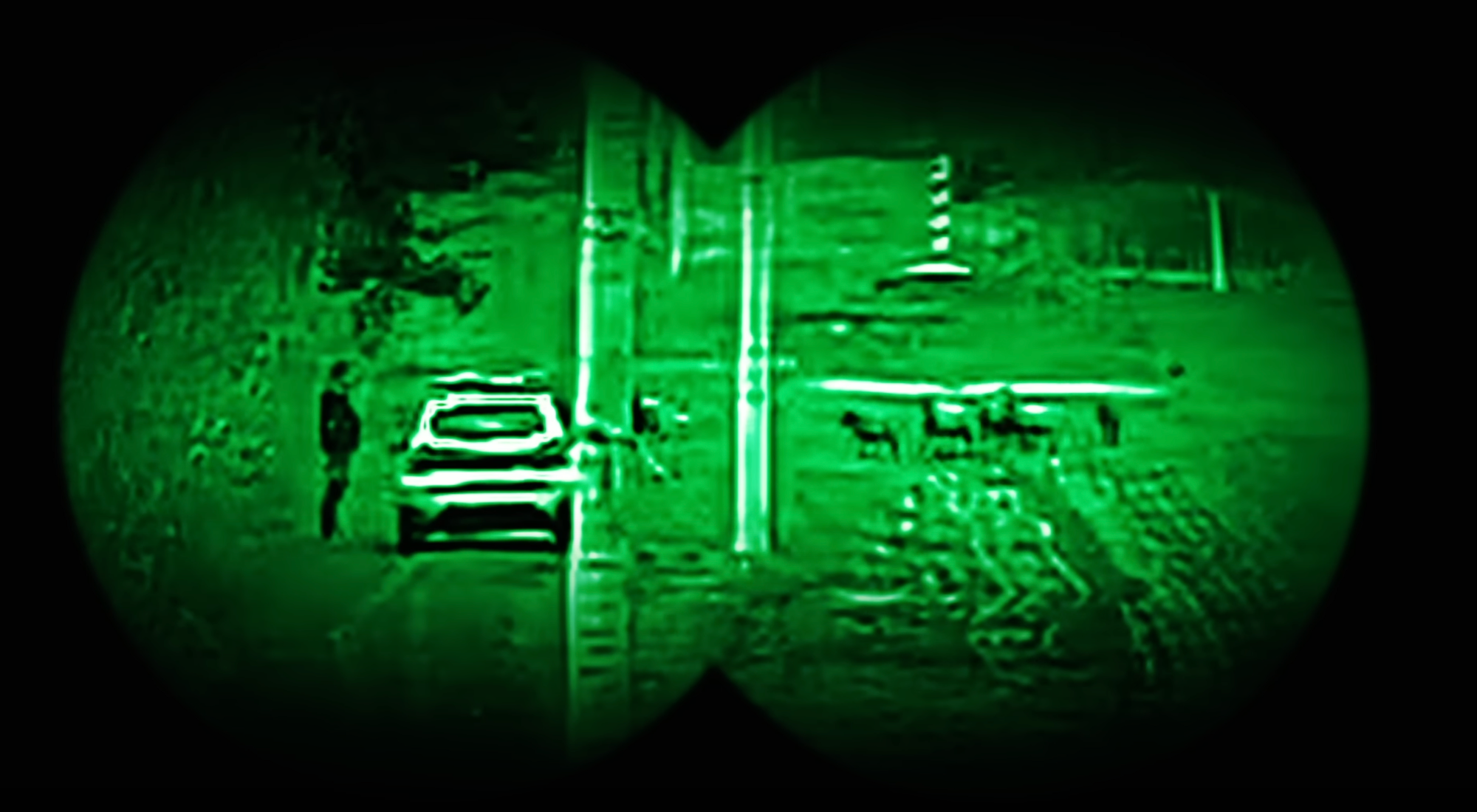 Стадо овець нелегально перетнуло кордон - фото 1