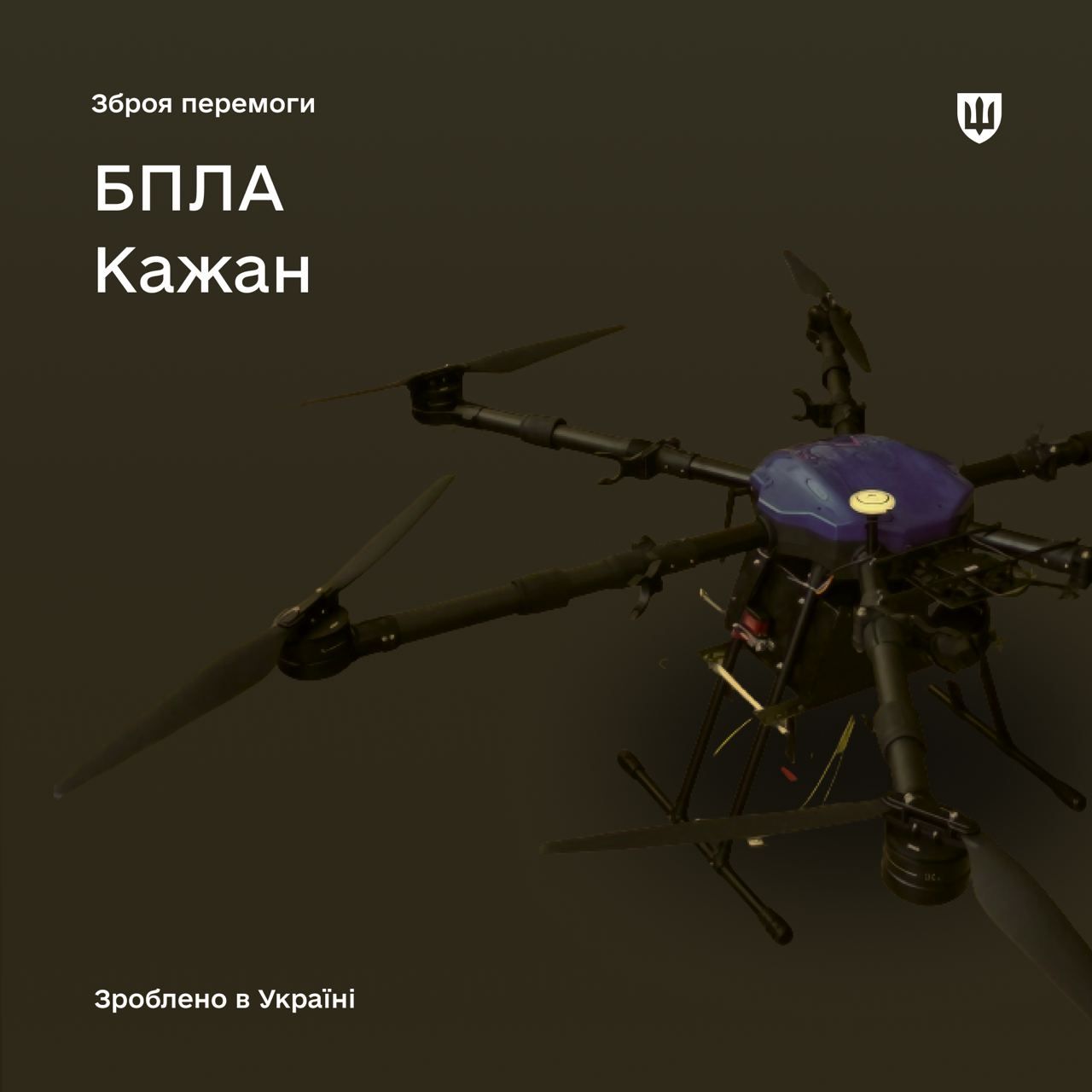 "Кажан" - фото 1