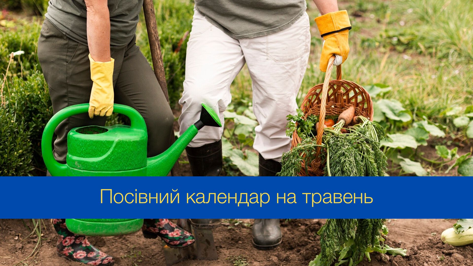 Посівний календар на травень 2024 року - фото 1