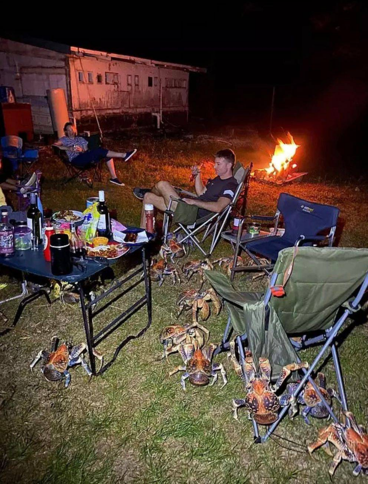 Сім’ю австралійців на барбекю оточила зграя великих крабів